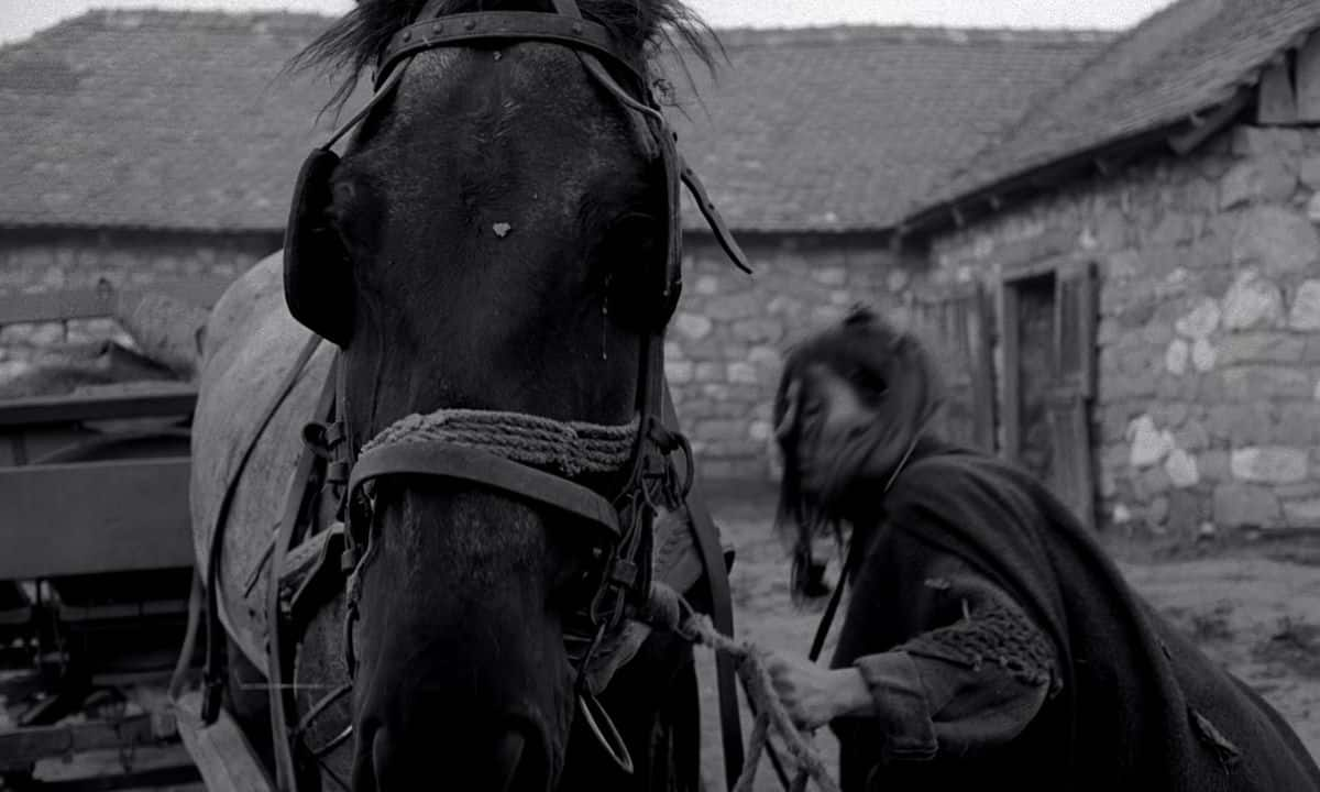 [2011][剧情][其他][BD-1080P]都灵之马[中文字幕].The.Turin.Horse.2011.BluRay.1080p.DTS-HDMA2.0.x265.10bit- 9.49