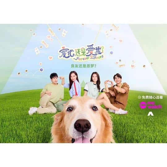 [2024][新加坡][剧情][连载][BT下载][宠他，还是爱我？][第13集][WEB-MKV/1.01G][国语配音/中文字幕][1080P][流媒体][ParkTV]