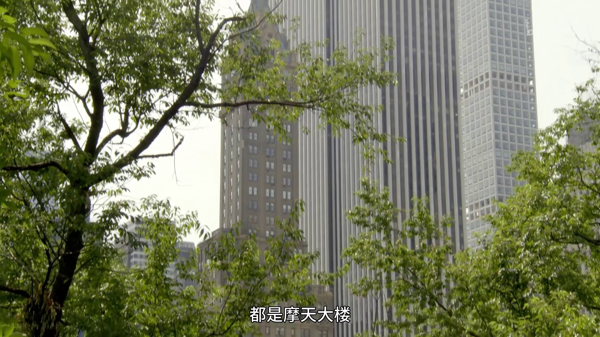 [2016][英国][剧情][WEB-1080P]纽约：美国最繁忙的城市[全3集][中文字幕].New.York.America's.Busiest.City.S01.2016.1080p.WEB-DL.H265.A