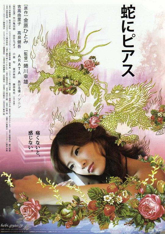 [2008][日本][惊悚][BD-1080P]蛇舌[简繁英字幕].Snakes.and.Earrings.2008.1080p.BluRay.x265.10bit.FLAC- 6.72GB