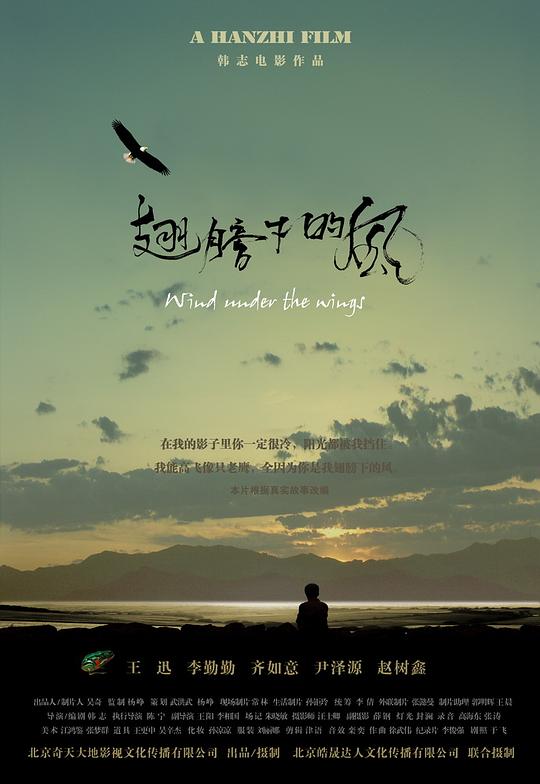 [2010][大陆][剧情][WEB-4K]翅膀下的风[国语配音/中文字幕].Wind.Under.The.Wings.2010.2160p.WEB-DL.AAC.H265-ParkHD 2.68GB