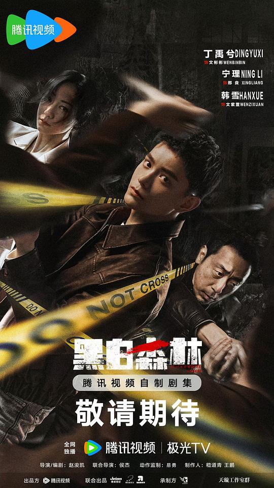 [2024][大陆][悬疑][连载][BT下载][黑白森林][第01-04集][WEB-MKV/1.40G][国语配音/中文字幕][1080P][流媒体][MiniTV]