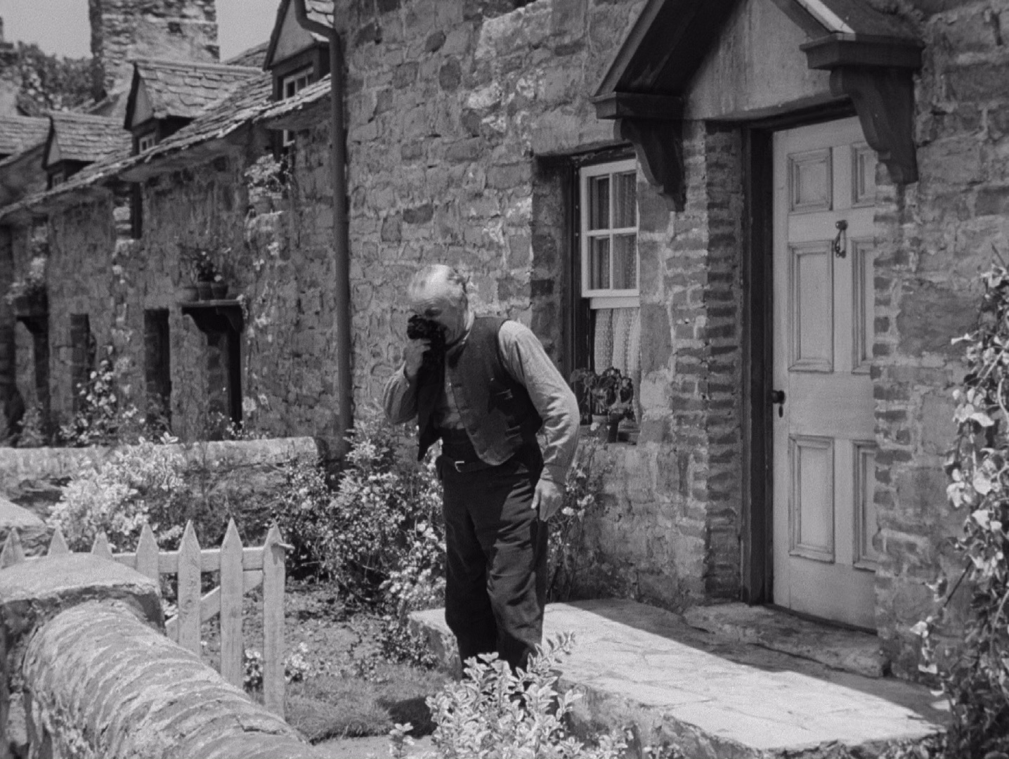 [更 早][美国][剧情][BD-1080P]青山翠谷[简繁英字幕].How.Green.Was.My.Valley.1941.1080p.BluRay.x265.10bit.DTS- 8.01GB