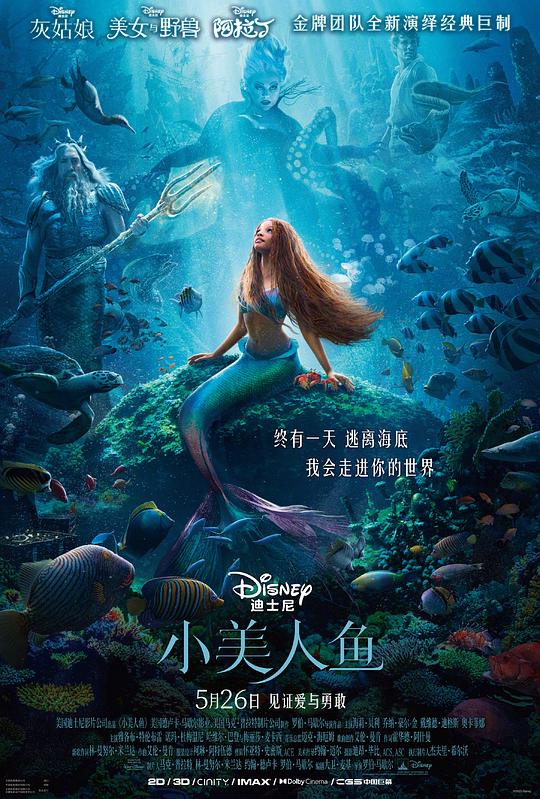 [2023][美国][爱情][WEB-1080P]小美人鱼[国英多音轨/简繁英字幕].The.Little.Mermaid.2023.1080p.DSNP.WEB-DL.DDP5.1.Atmos.H264-ParkHD 6.80GB