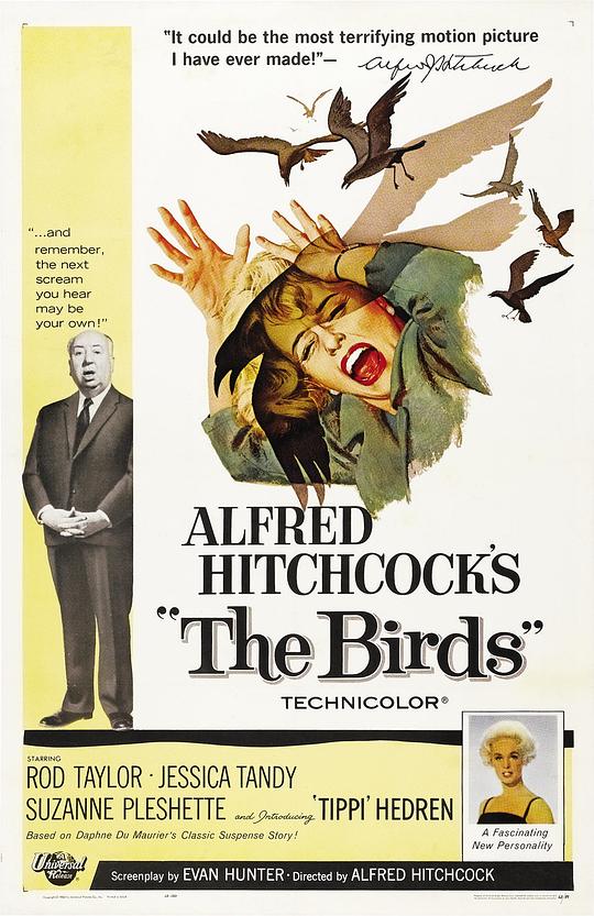 [更 早][美国][悬疑][WEB-1080P]群鸟[中文字幕].The.Birds.1963.1080p.WEB-DL.AAC.H264-ParkHD 1.74GB