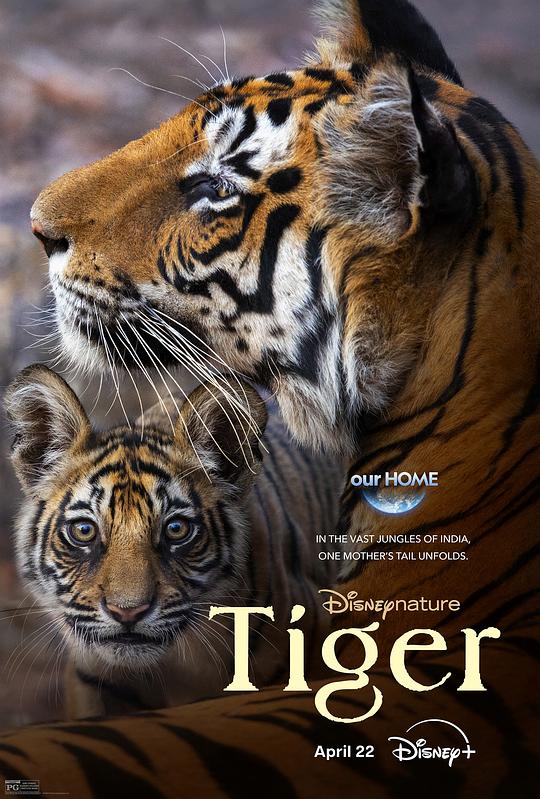 [2024][美国][纪录][WEB-4K]老虎[简繁英字幕].Tiger.2024.2160p.DSNP.WEB-DL.DDP5.1.Atmos.H265.HDR-ParkHD 9.18GB