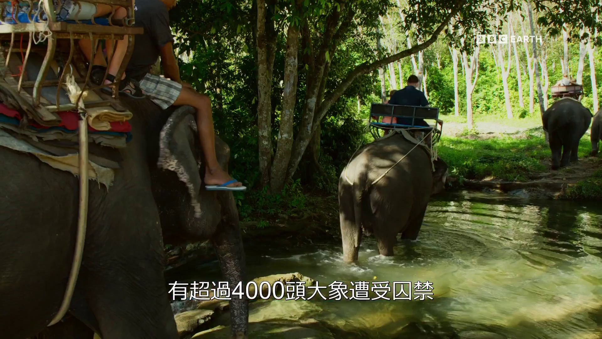 [2013][泰国][剧情][WEB-1080P]野性泰国[第02集][中文字幕].Wild.Thailand.S01.2013.1080p.Hami.WEB-DL.H264.AAC-LelveTV 2.88GB