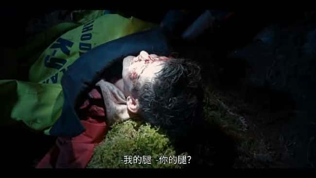 电影《义犬救主》BD高清--720P/1080P高清BT种子磁力迅雷下载