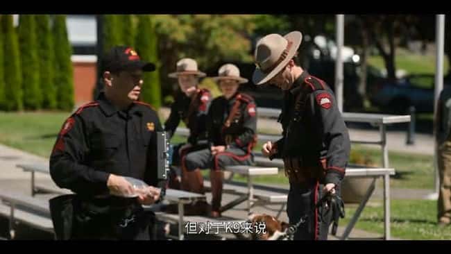 电影《义犬救主》BD高清--720P/1080P高清BT种子磁力迅雷下载