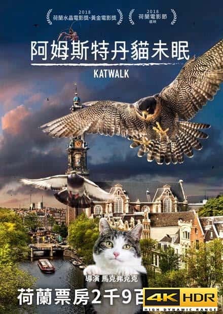 纪录片《阿姆斯特丹猫未眠》BD高清--720P/1080P高清BT种子磁力迅雷下载