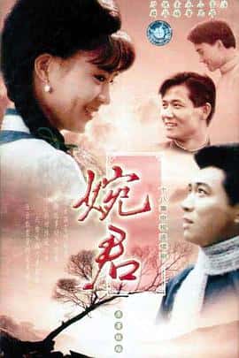剧情爱情家庭儿童古装电影《婉君/1990》-蓝光4K/1080P/720P/360P高清标清网盘百度云BT种子磁力迅雷下载