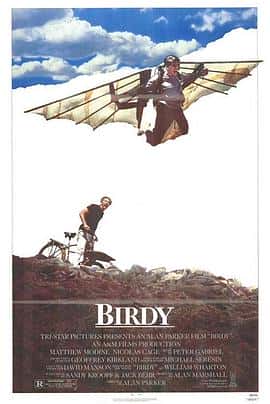 剧情战争电影《鸟人 Birdy/1984》-蓝光4K/1080P/720P/360P高清标清网盘百度云BT种子磁力迅雷下载