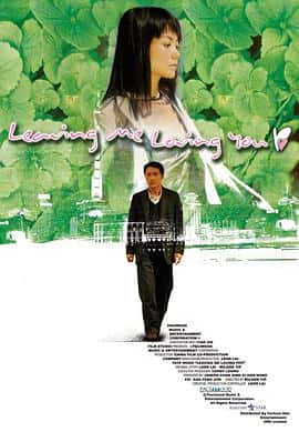 剧情爱情电影《大城小事/2004》-蓝光4K/1080P/720P/360P高清标清网盘百度云BT种子磁力迅雷下载