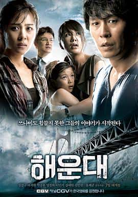 剧情动作灾难电影《海云台/2009》-蓝光4K/1080P/720P/360P高清标清网盘百度云BT种子磁力迅雷下载