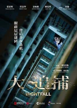 剧情动作悬疑惊悚犯罪电影《大追捕/2012》-蓝光4K/1080P/720P/360P高清标清网盘百度云BT种子磁力迅雷下载