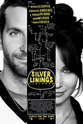 剧情喜剧爱情家庭电影《乌云背后的幸福线 Silver Linings Playbook/2012》-蓝光4K/1080P/720P/360P高清标清网盘百度云BT种子磁力迅雷下载