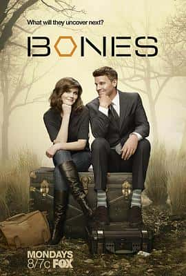 剧情爱情悬疑犯罪电影《识骨寻踪 第八季 Bones Season 8/2012》-蓝光4K/1080P/720P/360P高清标清网盘百度云BT种子磁力迅雷下载