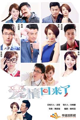 剧情爱情电影《爱情回来了/2014》-蓝光4K/1080P/720P/360P高清标清网盘百度云BT种子磁力迅雷下载