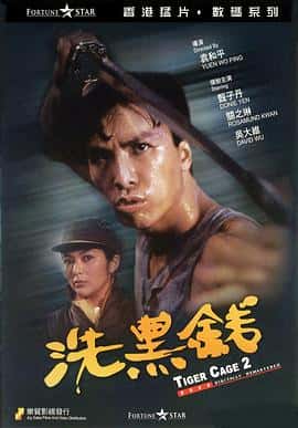 动作犯罪电影《洗黑钱 洗黑錢/1990》-蓝光4K/1080P/720P/360P高清标清网盘百度云BT种子磁力迅雷下载
