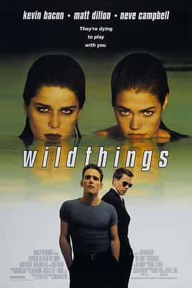 悬疑惊悚犯罪电影《玩尽杀绝 Wild Things/1998》-蓝光4K/1080P/720P/360P高清标清网盘百度云BT种子磁力迅雷下载