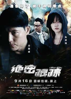 动作犯罪电影《绝密跟踪/2013》-蓝光4K/1080P/720P/360P高清标清网盘百度云BT种子磁力迅雷下载