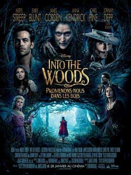 喜剧歌舞奇幻冒险电影《魔法黑森林 Into the Woods/2014》-蓝光4K/1080P/720P/360P高清标清网盘百度云BT种子磁力迅雷下载