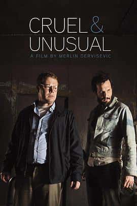 奇幻电影《回路人生 Cruel &amp;#038; Unusual/2014》-蓝光4K/1080P/720P/360P高清标清网盘百度云BT种子磁力迅雷下载