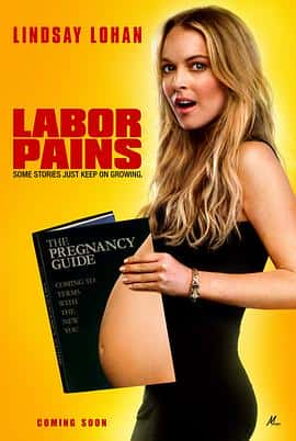 电影《产前阵痛 Labor Pains/2009》-蓝光4K/1080P/720P/360P高清标清网盘百度云BT种子磁力迅雷下载