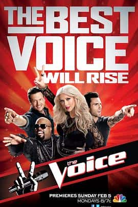 音乐真人秀电影《美国之声 第二季 The Voice Season 2/2012》-蓝光4K/1080P/720P/360P高清标清网盘百度云BT种子磁力迅雷下载