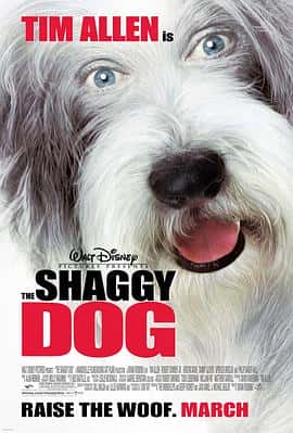喜剧家庭奇幻电影《长毛狗 The Shaggy Dog/2006》-蓝光4K/1080P/720P/360P高清标清网盘百度云BT种子磁力迅雷下载