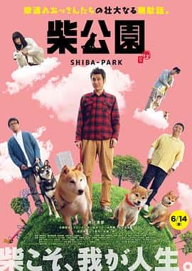 喜剧电影《柴犬公园 柴公園/2019》-蓝光4K/1080P/720P/360P高清标清网盘百度云BT种子磁力迅雷下载