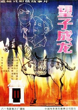 电影《望子成龙/1986》-蓝光4K/1080P/720P/360P高清标清网盘百度云BT种子磁力迅雷下载