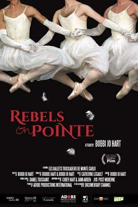 纪录片电影《脚尖上的反叛 Rebels on Pointe/2017》-蓝光4K/1080P/720P/360P高清标清网盘百度云BT种子磁力迅雷下载