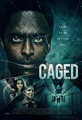 动作电影《监禁 Caged/2021》-蓝光4K/1080P/720P/360P高清标清网盘百度云BT种子磁力迅雷下载