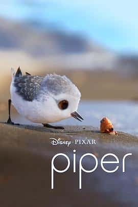 动画短片电影《鹬 Piper/2016》-蓝光4K/1080P/720P/360P高清标清网盘百度云BT种子磁力迅雷下载