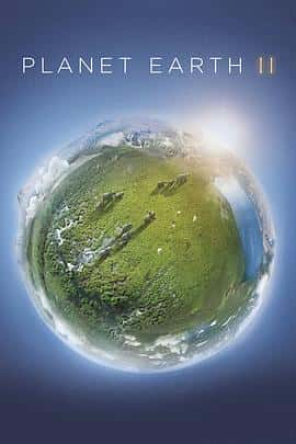 纪录片电影《地球脉动 第二季 Planet Earth Season 2/2016》-蓝光4K/1080P/720P/360P高清标清网盘百度云BT种子磁力迅雷下载