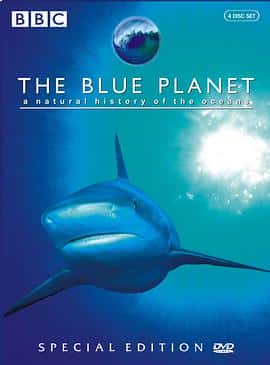 纪录片电影《蓝色星球 The Blue Planet/2001》-蓝光4K/1080P/720P/360P高清标清网盘百度云BT种子磁力迅雷下载