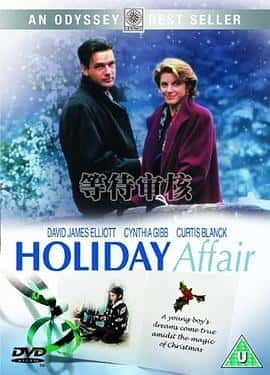 喜剧爱情电影《圣诞之恋 Holiday Affair/1996》-蓝光4K/1080P/720P/360P高清标清网盘百度云BT种子磁力迅雷下载