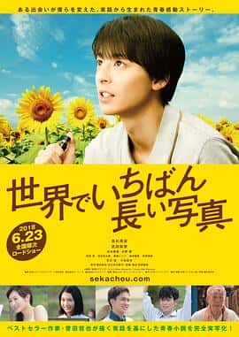 剧情电影《世界上最长的照片 世界でいちばん長い写真/2018》-蓝光4K/1080P/720P/360P高清标清网盘百度云BT种子磁力迅雷下载
