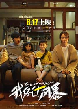 剧情家庭电影《我经过风暴/2023》-蓝光4K/1080P/720P/360P高清标清网盘百度云BT种子磁力迅雷下载