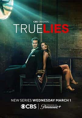 喜剧动作惊悚冒险电影《真实的谎言 True Lies/2023》-蓝光4K/1080P/720P/360P高清标清网盘百度云BT种子磁力迅雷下载