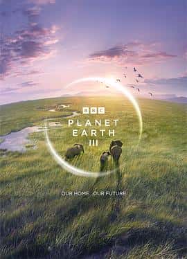 纪录片电影《地球脉动 第三季 Planet Earth Season 3/2023》-蓝光4K/1080P/720P/360P高清标清网盘百度云BT种子磁力迅雷下载