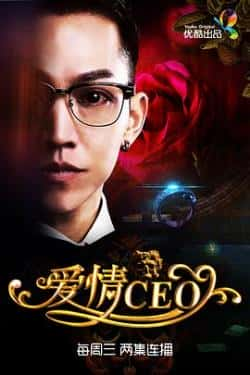 电视剧电影《爱情CEO》-蓝光4K/1080P/720P/360P高清标清网盘BT迅雷下载小众纪录片电影下载