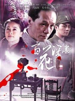 电视剧电影《百花深处》-蓝光4K/1080P/720P/360P高清标清网盘BT迅雷下载小众纪录片电影下载