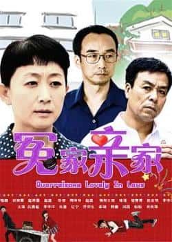 电视剧电影《冤家亲家》-蓝光4K/1080P/720P/360P高清标清网盘BT迅雷下载小众纪录片电影下载