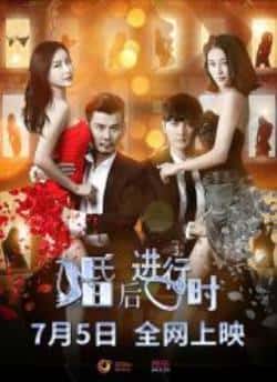 剧情爱情电影《婚后进行时》-蓝光4K/1080P/720P/360P高清标清网盘BT迅雷下载小众纪录片电影下载
