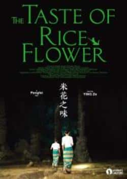 剧情电影《米花之味》-蓝光4K/1080P/720P/360P高清标清网盘BT迅雷下载小众纪录片电影下载