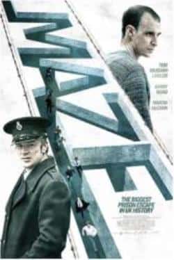 犯罪剧情历史电影《迷宫》-蓝光4K/1080P/720P/360P高清标清网盘BT迅雷下载小众纪录片电影下载