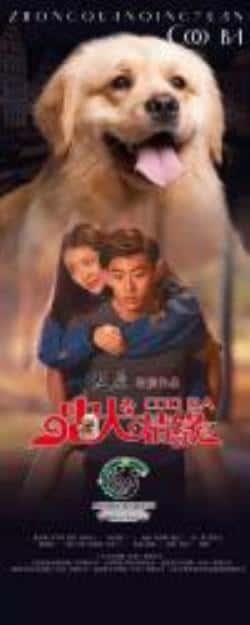 爱情电影《忠犬情缘》-蓝光4K/1080P/720P/360P高清标清网盘BT迅雷下载小众纪录片电影下载