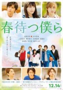 爱情电影《守望春天的我们》-蓝光4K/1080P/720P/360P高清标清网盘BT迅雷下载小众纪录片电影下载